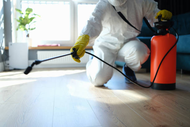 Reliable Biohazard Cleanup contractor in San Ramon, CA by Trauma Clean Pros